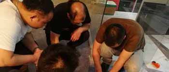 你見(jiàn)過(guò)如此認(rèn)真對(duì)待工作的南寧裝飾公司師傅們嗎? 你見(jiàn)過(guò)如此認(rèn)真對(duì)待工作的南寧裝飾公司師傅們嗎?