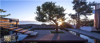 符合當?shù)匚幕拿袼蘧频暝O計