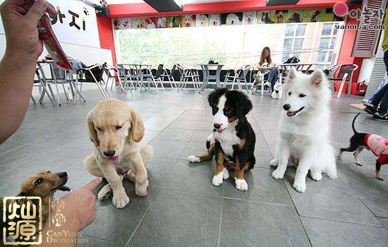 南寧咖啡廳裝修 南寧咖啡廳裝修