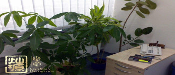 能讓員工感覺溫馨的辦公室裝修性價比裝飾