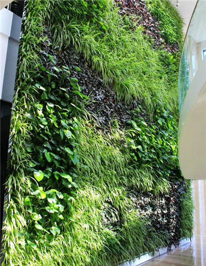 辦公室設(shè)計(jì)-綠植